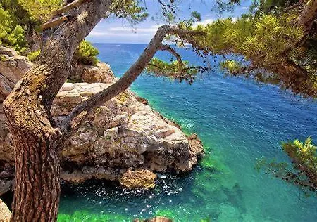 Διαμέρισμα Eli